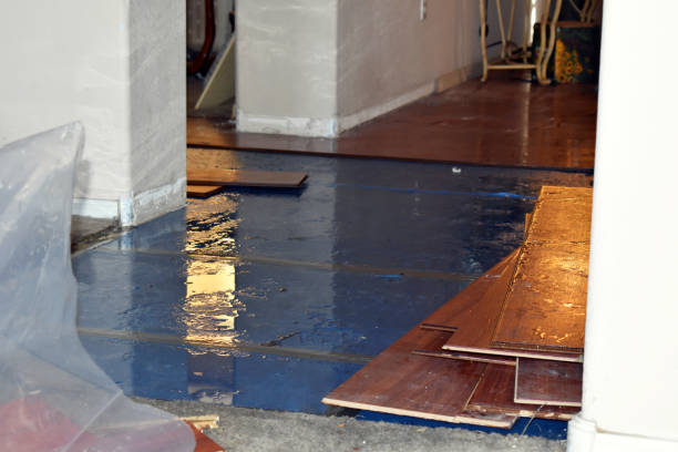 Professional Burst Pipe Cleanup technician working in Morongo Valley, CA